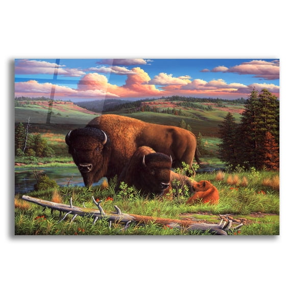 Epic Art 'Buffalo Nation' by R. Hed, Acrylic Glass Wall Art, 24"x16"