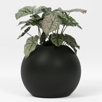 Greenline Nala Globe Planter - Indoor/Outdoor Large Fiberglass Lightweight Planter - 24" x 24" x 19" (Matte Black)