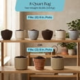 thumbnail image 6 of Rosy Soil Indoor Potting Soil Mix for Houseplants, Organic Peat Free Soil with Biochar, Root Boosting Living Soil for Indoor Plants, 8 qt, 6 of 9