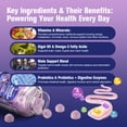 thumbnail image 3 of Migcopat Multivitamin for Men Gummies, Supports Heart, Brain, Muscle & Energy, Sugar-Free, Blackberry Flavor, 60 Gummies, 3 of 8