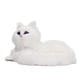 thumbnail image 4 of Muñeco de gato de peluche de simulación BuyWeekMX, 4 of 9