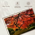 thumbnail image 6 of Elephant Stock Japanese Maple Wall Art - Horizontal Canvas Wall Art - Living Room Wall Decor - Floral And Botanical Canvas - Orange And Brown Decor - 39" x 26", 6 of 8