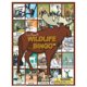 thumbnail image 1 of Juego de bingo Wildlife Explora animales, bosques, selvas y desiertos, 1 of 1