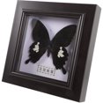 thumbnail image 1 of Espécimen de mariposa simulado, decoración de espécimen hecho a mano, espécimen colgante de pared, decoración de pared, 1 of 5