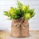 thumbnail image 5 of Gwong Decoración hogareña Plantas artificiales Bonsai Ornamental No se marchitan vibrantes flores falsas Mesa Ornamentos en maceta para el hogar Gwong 21076320, 5 of 6