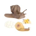 thumbnail image 3 of Figura del ciclo de crecimiento de la vida animal, aprendizaje preescolar, decoración para tartas, juguetes de desarrollo, material didáctico, juguete, 3 of 8