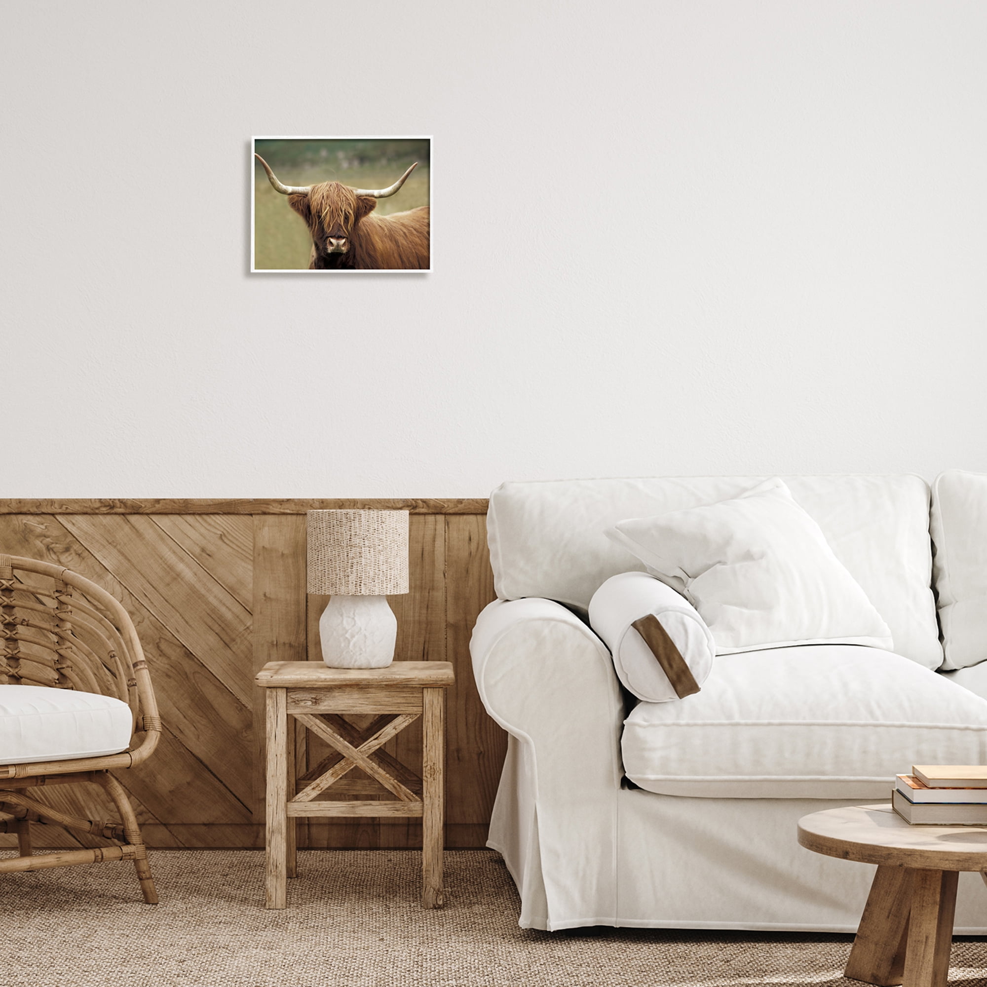 Stupell Industries Highland Cattle Shaggy Hair Country Animal Portrait Photography, 14 x 11, Design by Danita Delimont