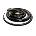 thumbnail image 1 of Juguete Realista de Serpiente de Goma Brandon Negra 52 Pulgadas de Largo, 1 of 6