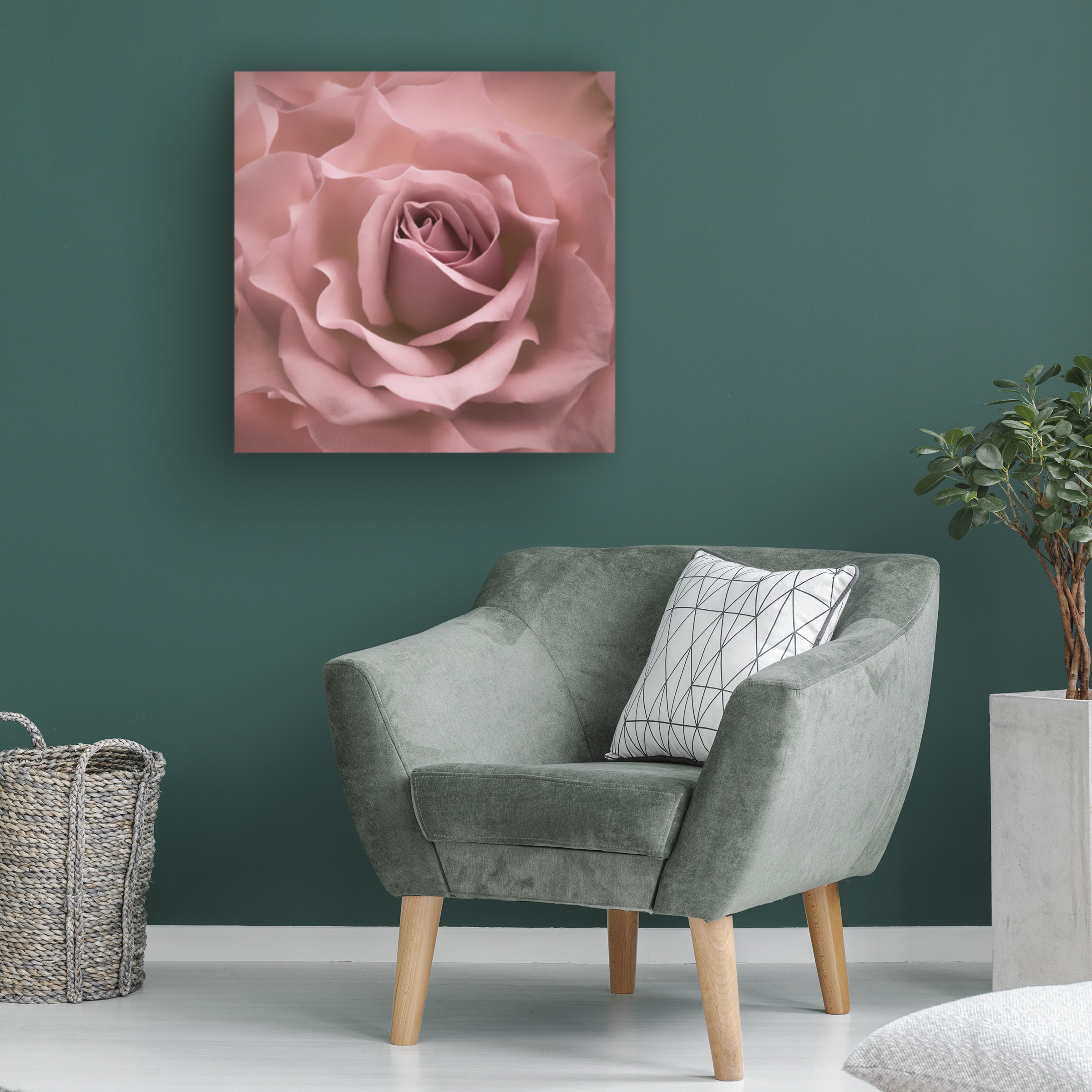 Trademark Fine Art Cora Niele Misty Rose Pink Rose Canvas Wall Art - 18x18