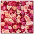 thumbnail image 1 of Picture-Tiles.com: Flowers Ceramic Tile Wall Mural WAL500619-66M. 36"W x 36"H using (36) 6" x 6" Ceramic Tiles-Satin Finish, 1 of 3