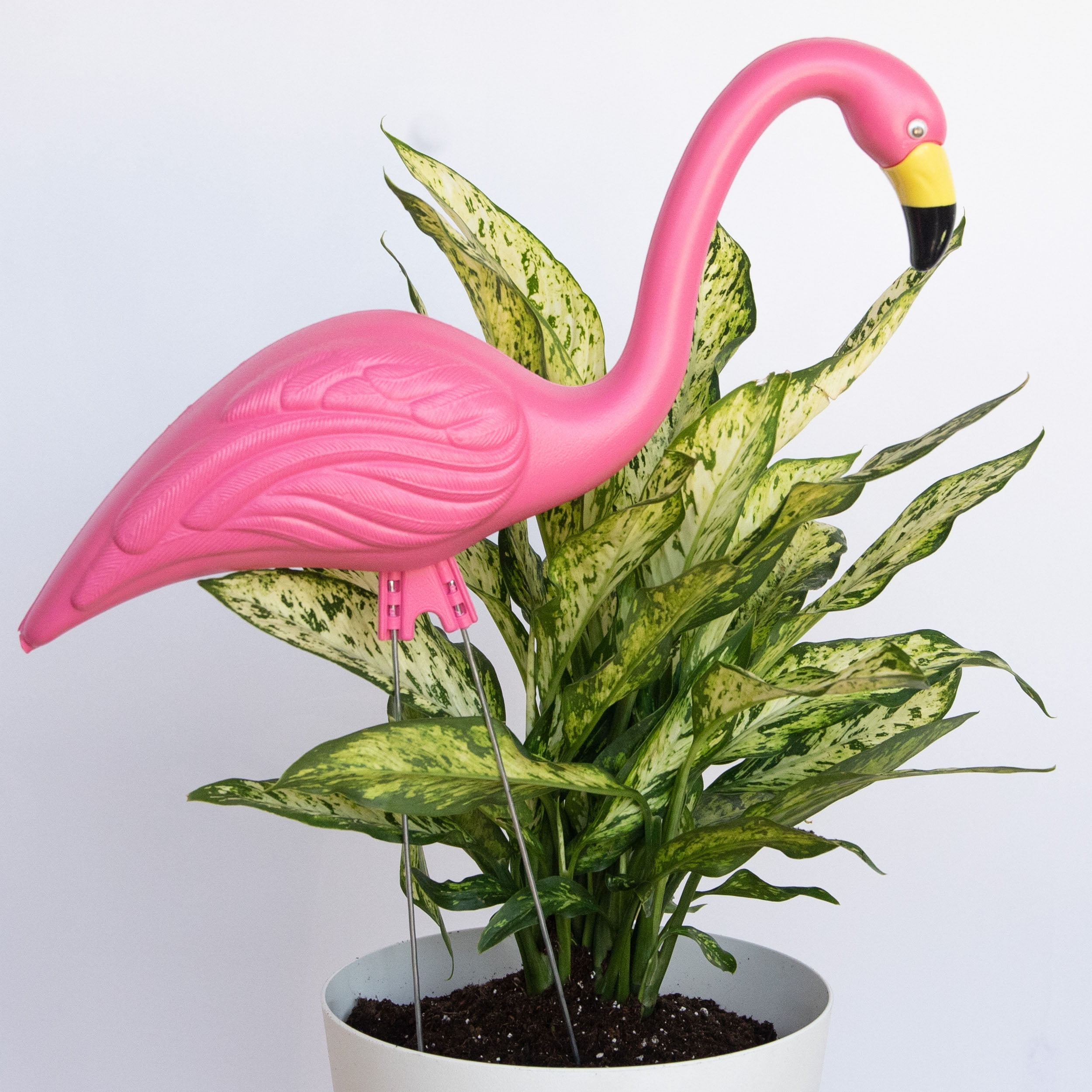 Flamingo Plastic Pitcher, 87.5 Oz.