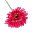 thumbnail image 2 of UDIYO 5Pcs Artificial Flower DIY Beautiful Real Touch Fake Chrysanthemum Flower Branch Home Decoration for Garden, 2 of 8