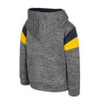 thumbnail image 3 of Toddler Colosseum Gray Michigan Wolverines Wizard City Hoodie, 3 of 3