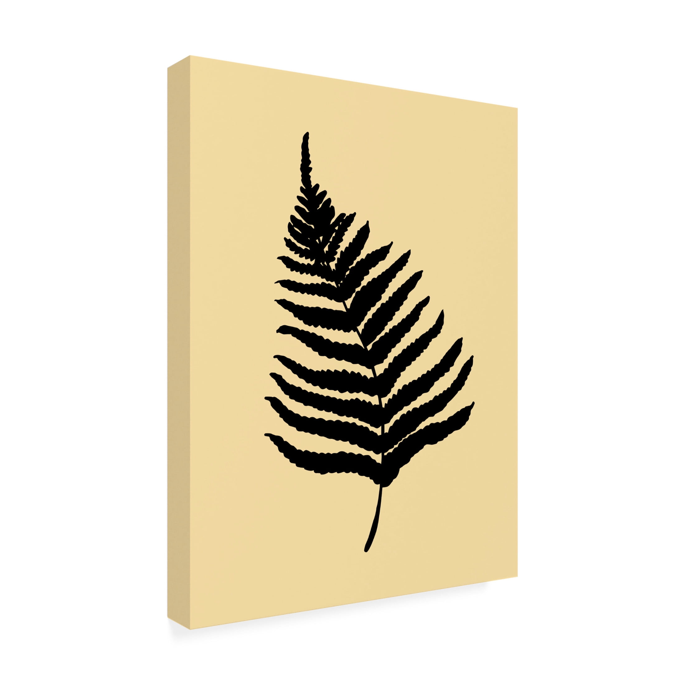 Trademark Fine Art Pictufy Studio Fern 02 Yellow Canvas Wall Art