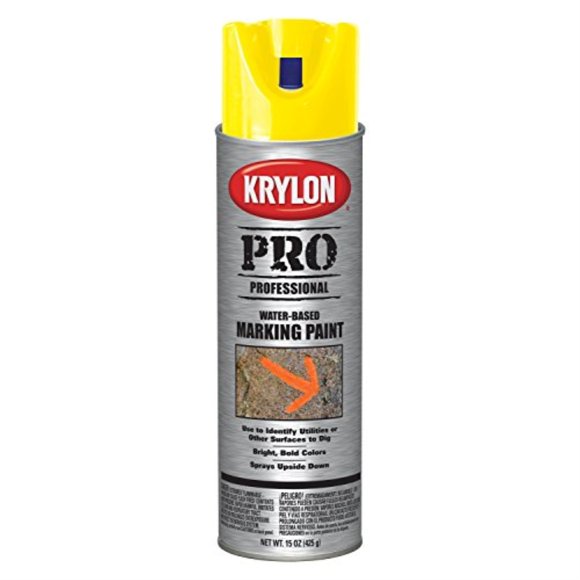 Krylon Fluorescent Paint
