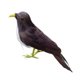 thumbnail image 3 of Simución de pájaro emplumado falso artificial, pájaros de pie, decoración de para el hogar, foto 4 Zulema Pájaros artificiales coloridos, 3 of 8