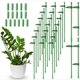 thumbnail image 2 of 30 Estacas Ajustables para Soporte de Plantas, Estaca de Soporte de Tallo úNico para JardíN con Clips para Plantas y Tubo de ConexióN de 11,8 Pulgadas, 2 of 5