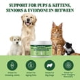 thumbnail image 6 of Green Lipped Mussel Powder for Dogs & Cats - 100% New Zealand Green Lipped Mussels - Natural Hip & Joint Supplement for Joints, Tendons, Ligaments, Muscles - 50 Grams - Up to 166 Servings, 6 of 7