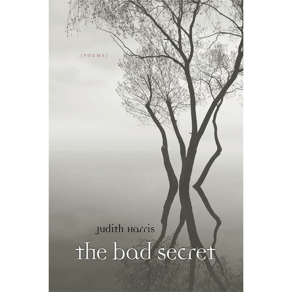 Bad Secret: Poems, (Paperback)