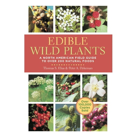 Edible Wild Plants: A North American Field Guide to Over 200 Natural Foods (Paperback)