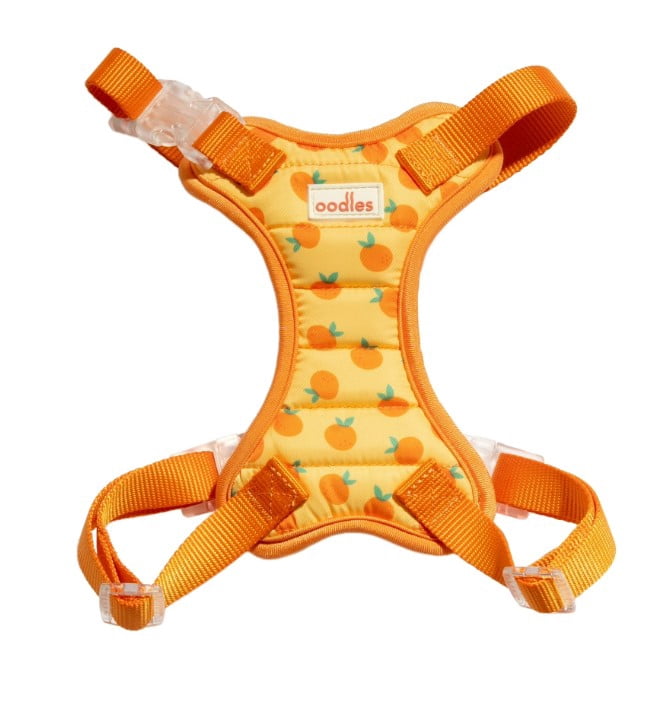 Citrus Fruit Print