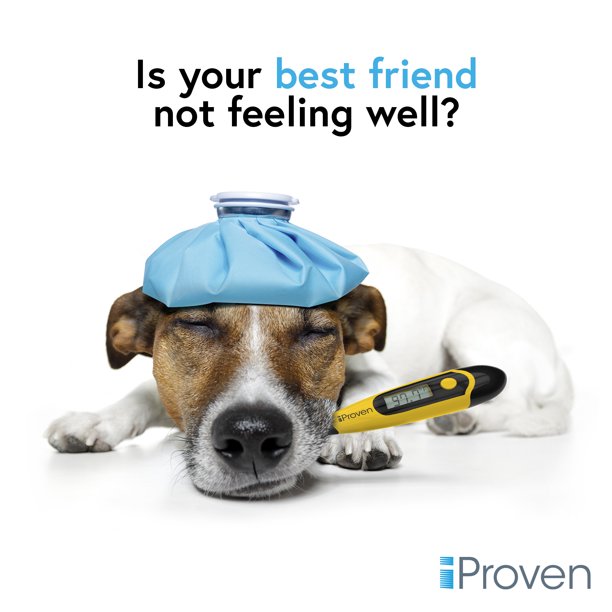 Can You Use A Normal Thermometer For Dogs