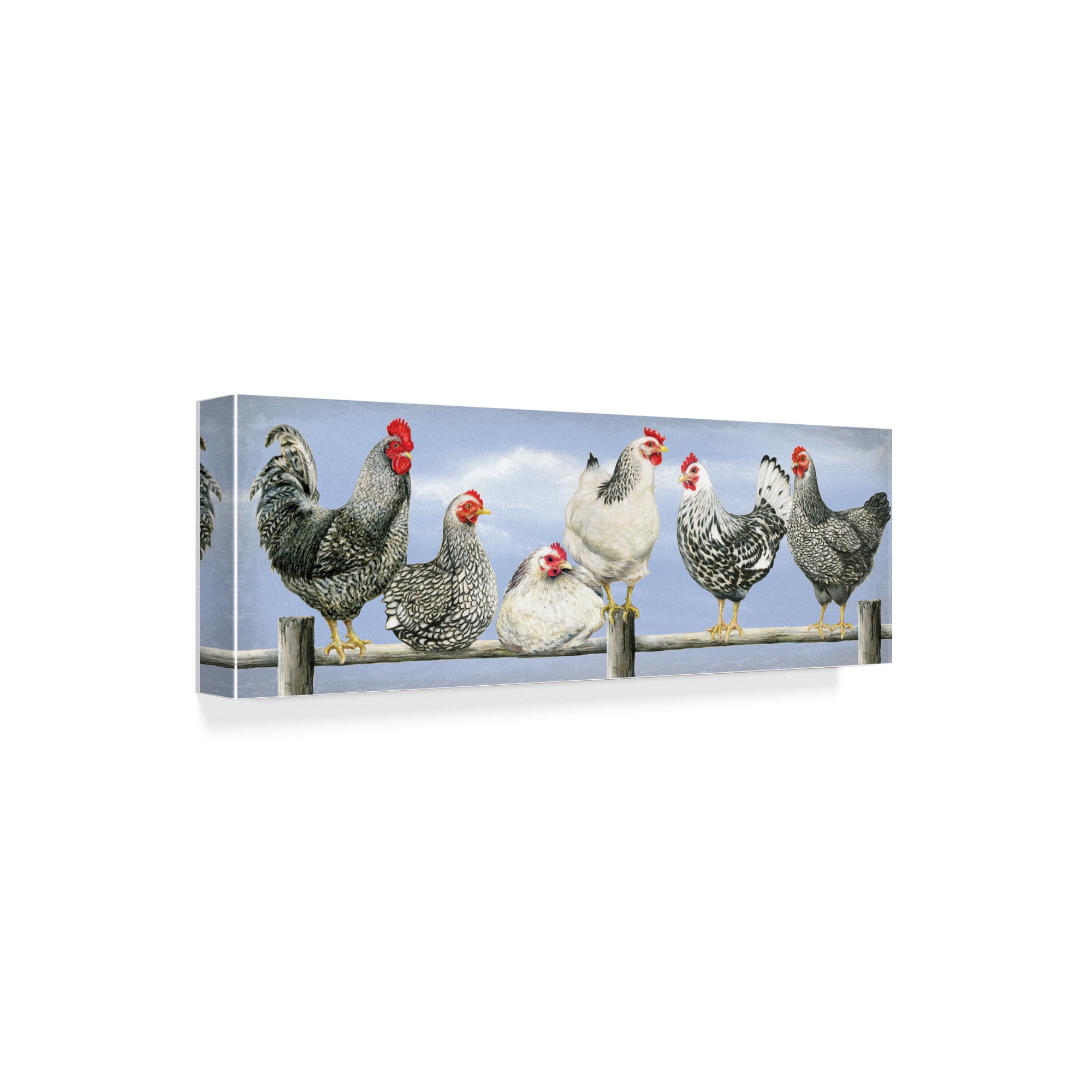 Trademark Fine Art 'Black And White Hens' Canvas Art by Janet Pidoux