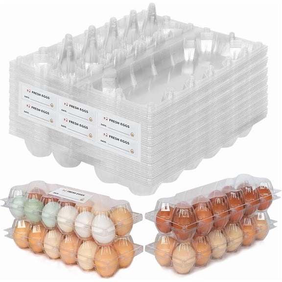 CZQ 60 Packs 12 Count Clear Egg Cartons, 2 * 6 Grids Design, Perfect for Family, Farm, Markets, Display(Large)