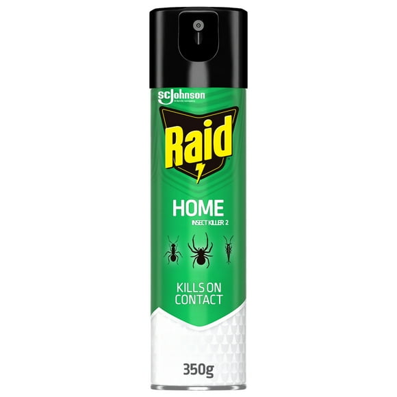 Raid Home Insect Killer, Kills Listed Bugs on Contact, For Indoor and Outdoor Use, 350g, 350 g