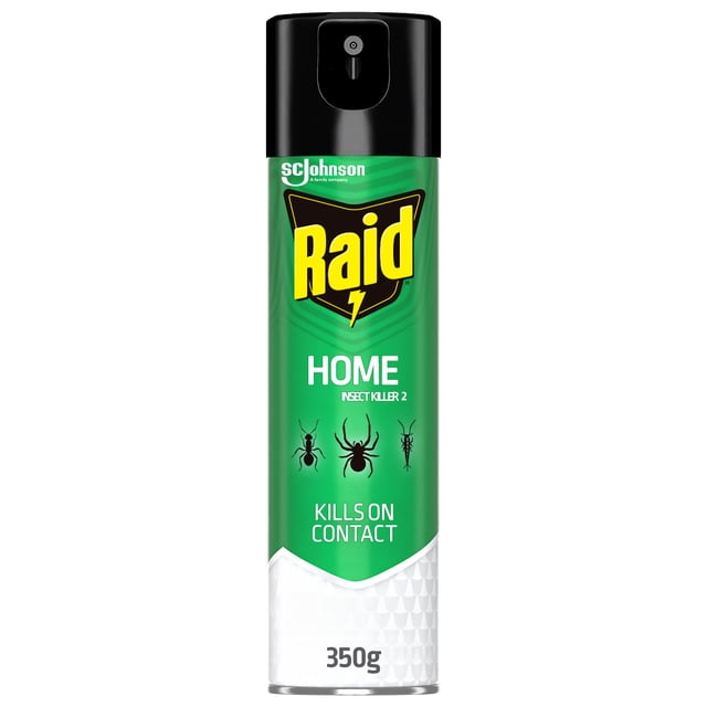 Raid Home Insect Killer, for Indoor and Outdoor Use, 350g