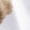 White, variant on Raccoon Print Men's Short Sleeve T-shirts, Comfy Casual Tops