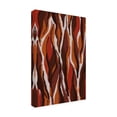 thumbnail image 4 of Canvas Wall Art - Treechild 'Earthy Tiger Pattern' Wall Art for Living Room, Bedroom, or Office D?cor by Trademark Fine Art - 16 x 24 Inches, 4 of 4