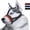 Red-New, variant on Head Strap Dog Muzzle Prevent from Taking Off by Paws for Small, Medium and Large Dogs(M/Black)
