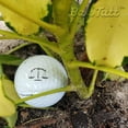 thumbnail image 3 of Ball Tatt Golf Ball Stamp Self-Inking Quick-Dry Waterproof Ball Marker Stamper, Justice, 3 of 8