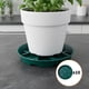 thumbnail image 1 of 10 Piezas Platillos para Macetas Bandejas para Plantas con Diseño Transpirable Bases para Macetas con Soporte Estable Bandejas Antigoteo para Drenaje Verde, 1 of 8