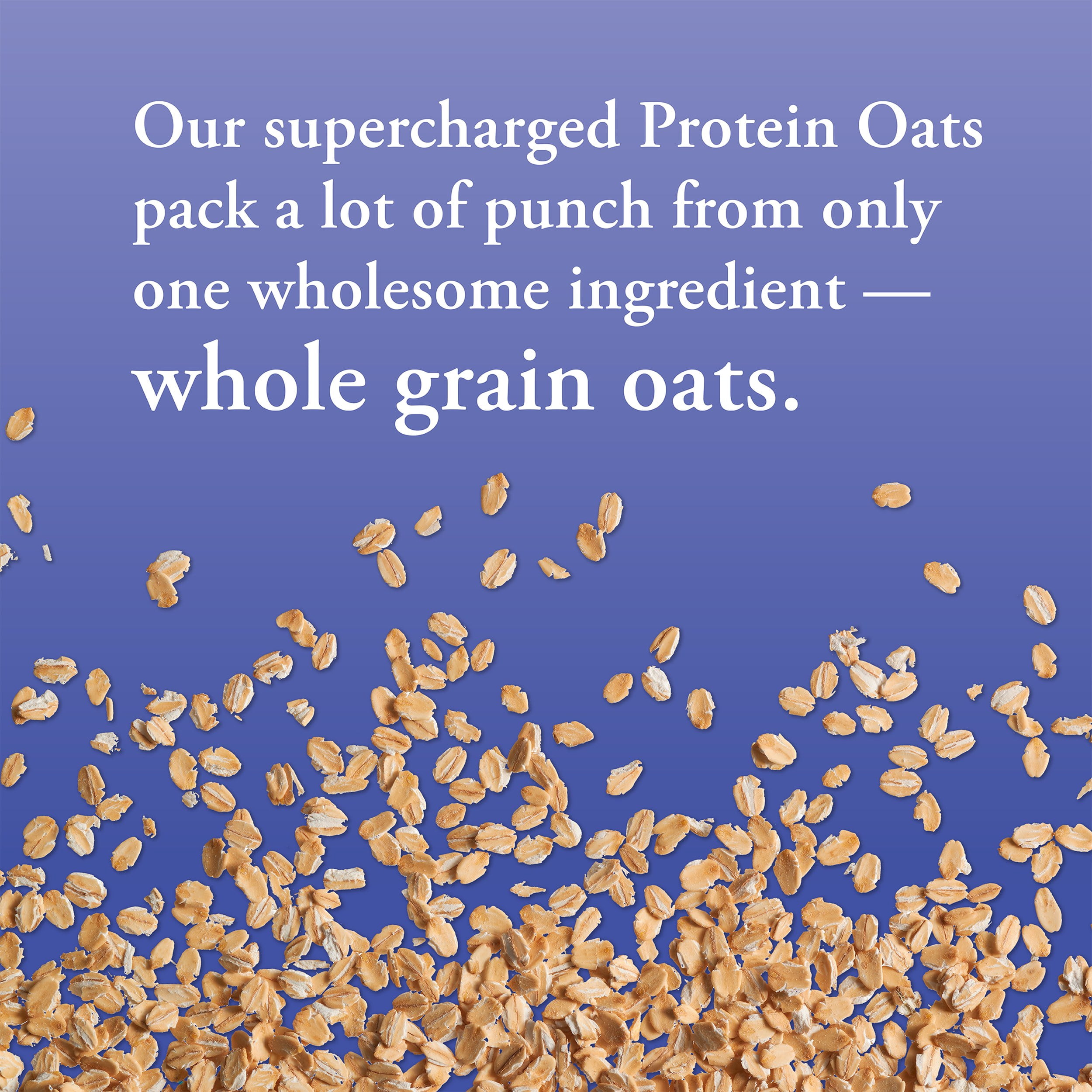 (4 pack) Bob’s Red Mill Gluten Free Protein Oats 16 oz