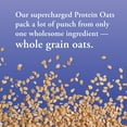 thumbnail image 5 of Bob’s Red Mill Protein Oats 16 oz, 5 of 12