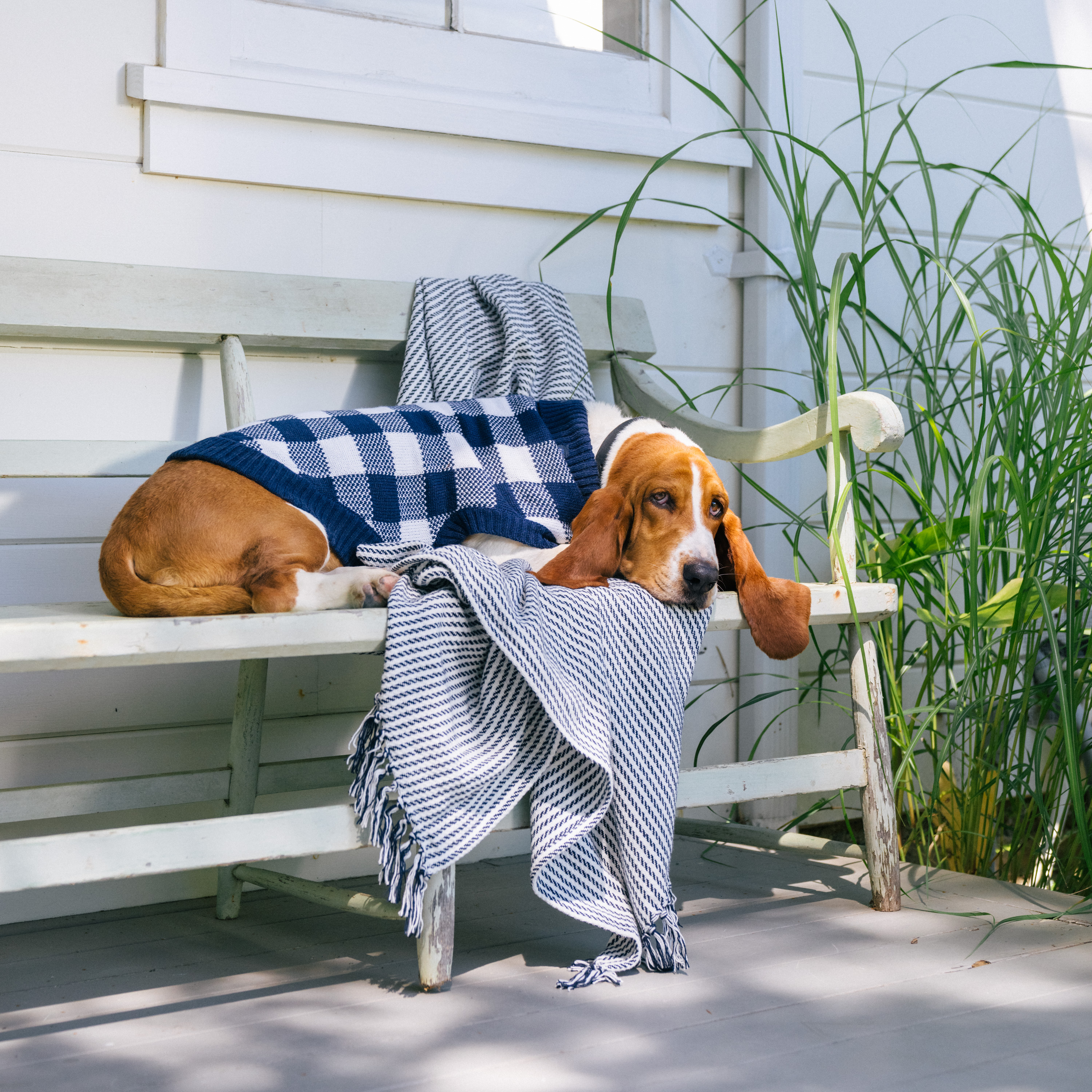 Gap Pet, Dog Clothes, Blue Buffalo Plaid Pet Sweater