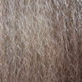 thumbnail image 2 of 15" Long Beard Color Grey - Sepia Costume Wigs ZZ Duck Dynasty Face Hair Fiber Hillbilly Top Fake #946 Bundle Spirit Gum Combo, Maxwigs Wig Care Booklet, 2 of 2
