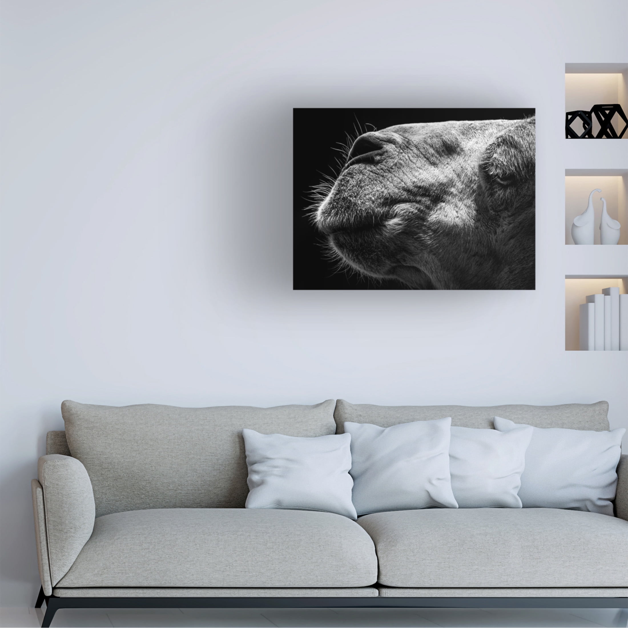 Trademark Fine Art Sultan Camel Canvas Wall Art