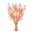 thumbnail image 3 of Cheapark 60 Pieces Bunny Tail Preserved Flowers Dried Flower Stems Decorative Florals for Vase Arrangement Home Decor Gift, 3 of 7