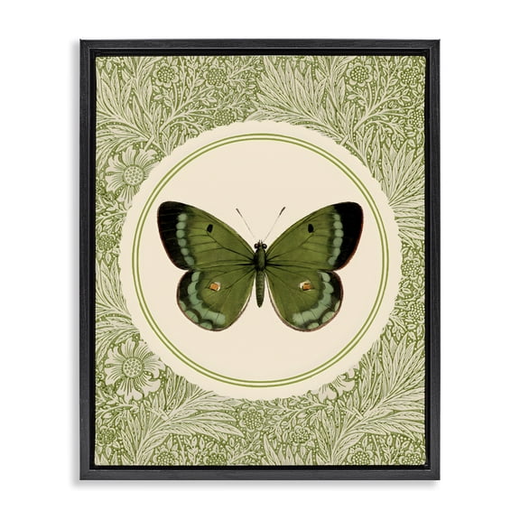 Stupell Industries Shabby Chic Green Butterfly Botanical Medallion Black Floating Frame Canvas Art, 17 x 21, by LSR Design Studio
