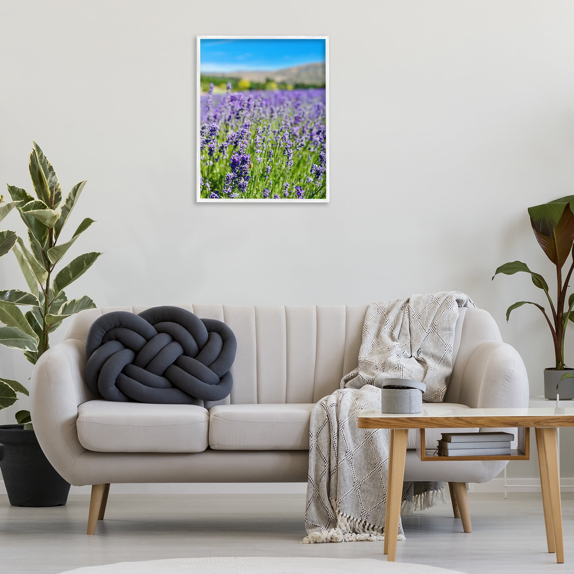 Stupell Industries Lavender in the Wind Landscape Photography White Framed Art Print Wall Art, 24 x 30