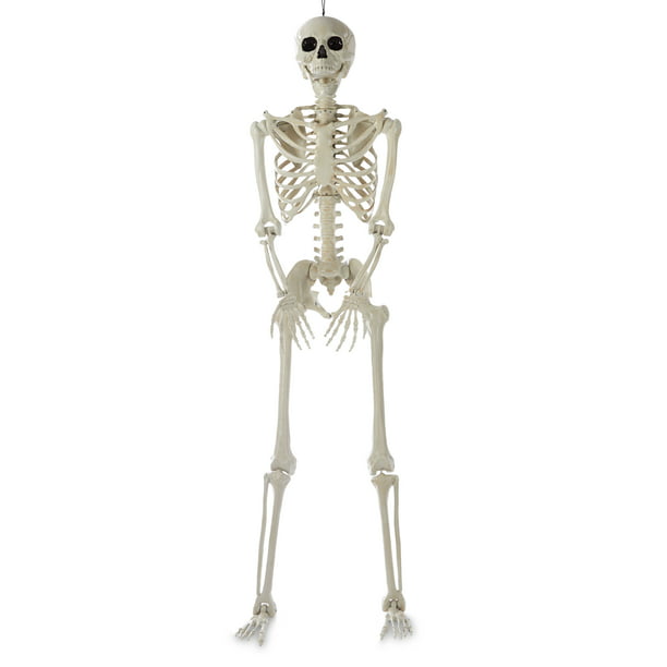 Way to Celebrate Realistic Posable Titan Skeleton, 84 inch - Walmart.com