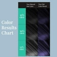 thumbnail image 4 of Water Works Permanent Powder Hair Color #21 Blue Black (6 Pack), 4 of 6
