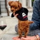 thumbnail image 4 of Disney Winter Pet Dog Clothes Cute Mickey Minnie dogs hoodies ShopWise Round, 4 of 20