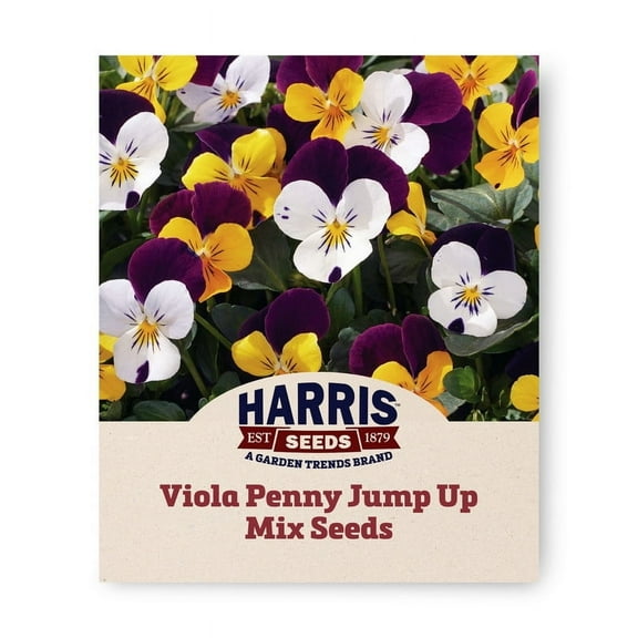 Harris Seeds - Viola Seeds - Penny Jump Up Mix F1 - Large Blooms Flowers - 500 Seeds