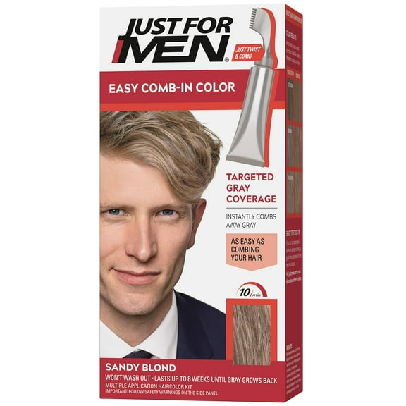 Just For Men Easy Comb-in Hair Color for Men with Applicator, Rich Black, A-65