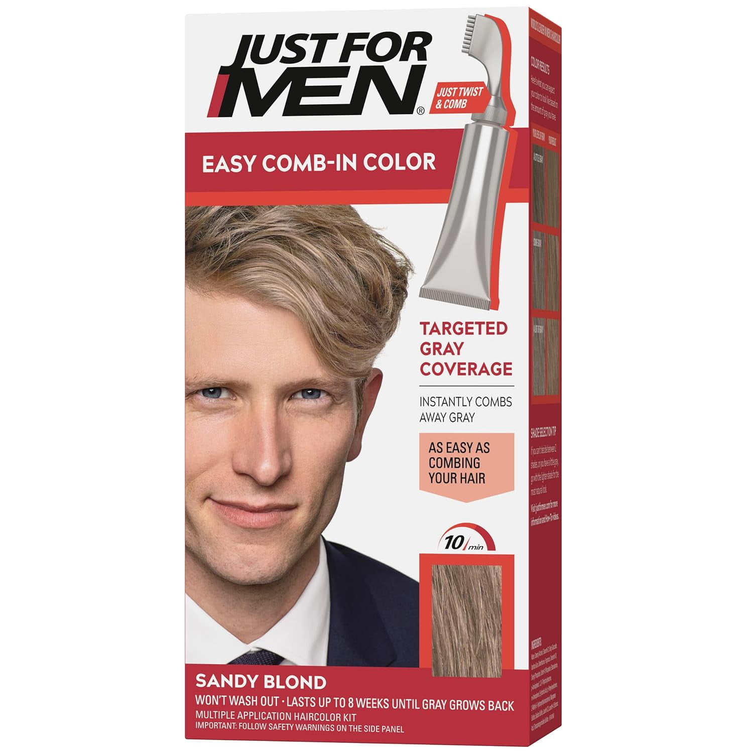 Just For Men Easy Comb-In Color Mens Hair Dye, Easy No Mix Application with Comb Applicator - Rich Black, A-65, Pack of 1