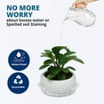 thumbnail image 3 of 10 Pack Clear Plant Saucer Drip Trays for Indoors Outdoors, 8 in Plastic Flower Plant Pot Saucer, 3 of 6